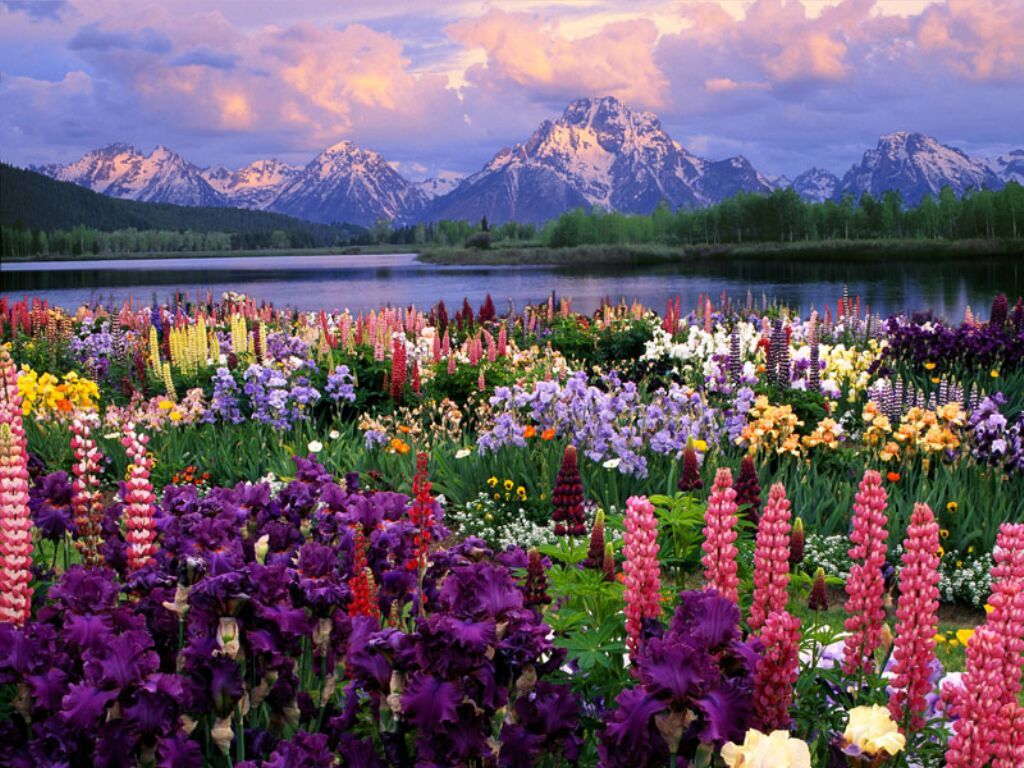 paysage